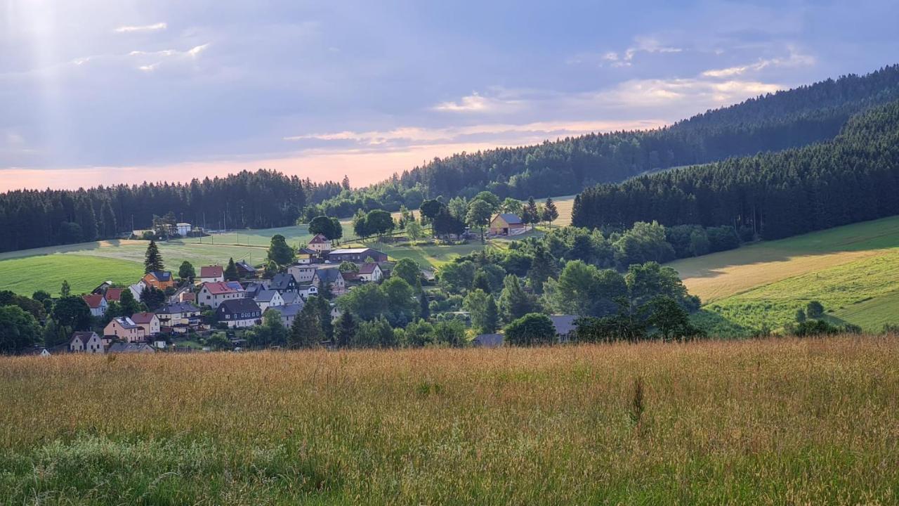 Pension Wernesgrün Wernesgrun Exterior foto