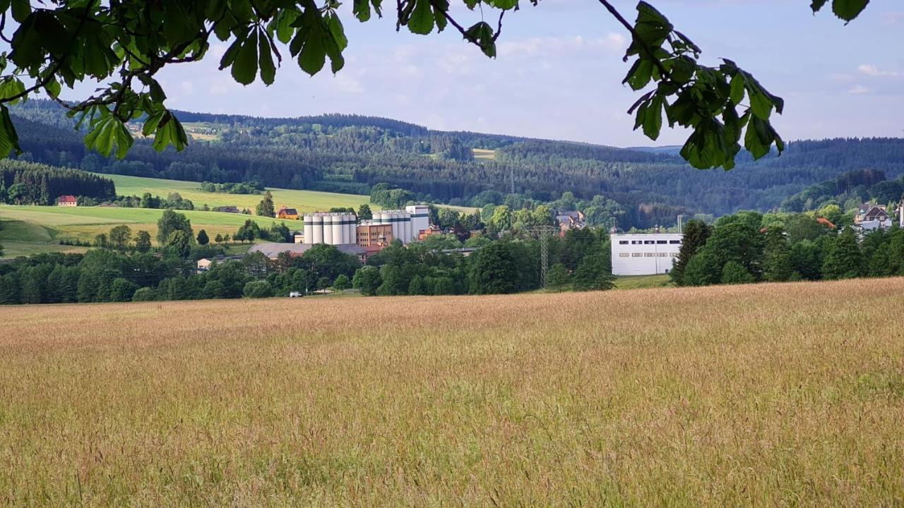 Pension Wernesgrün Wernesgrun Exterior foto